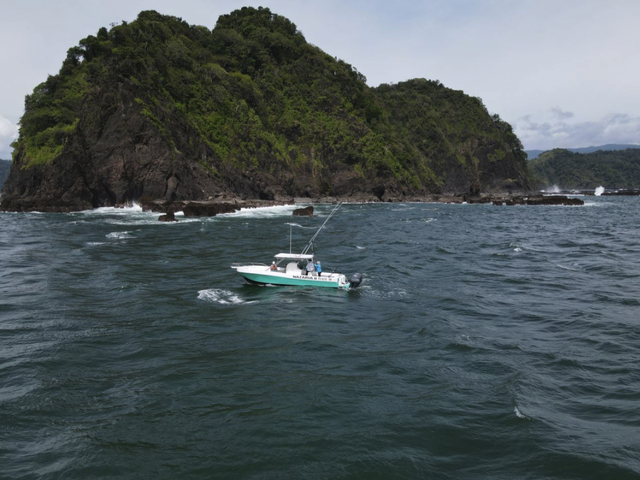 Listing image 1212341