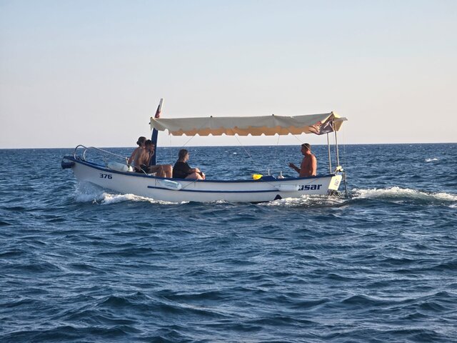 Listing image 1209747