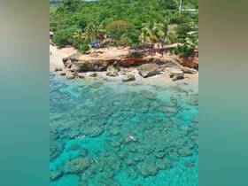 A vibrant scene of people snorkeling in crystal-clear waters near a picturesque beach, showcasing the beauty of outdoor adventures and group fun in nature.