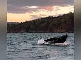 Charter Image