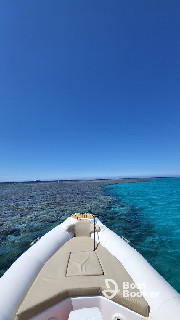 hurghada shell