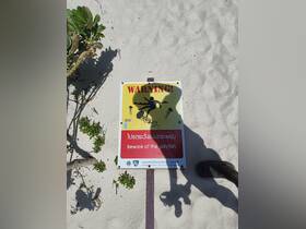 A warning sign on the beach advises visitors to beware of jellyfish, highlighting safety measures for beachgoers.