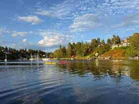 A picturesque view of kayakers paddling through calm waters, surrounded by lush greenery and sailboats, showcasing the beauty of a serene coastal landscape.