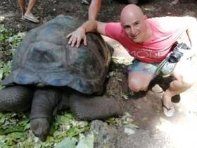 A man interacts with a giant tortoise, showcasing a unique wildlife encounter in a natural setting.