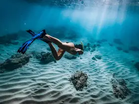 A snorkeler explores the vibrant underwater world, gliding over sandy seabeds and rocky formations — a perfect highlight of marine adventures.