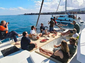 A lively group enjoys a day on a catamaran, capturing memories and celebrating with drinks and snacks — perfect for social gatherings on the water.