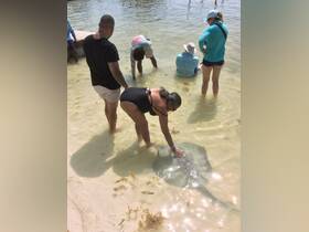 A woman interacts with a stingray in shallow water, showcasing a unique wildlife experience that highlights the beauty of marine life.