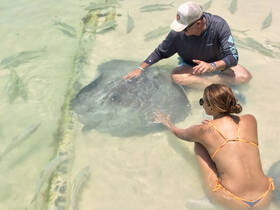 A memorable encounter as a woman interacts with a stingray in shallow waters, showcasing the beauty of marine wildlife and the joy of hands-on experiences in nature.