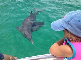 A child watches in awe as dolphins swim close to the boat, creating a magical wildlife encounter in the clear turquoise waters.