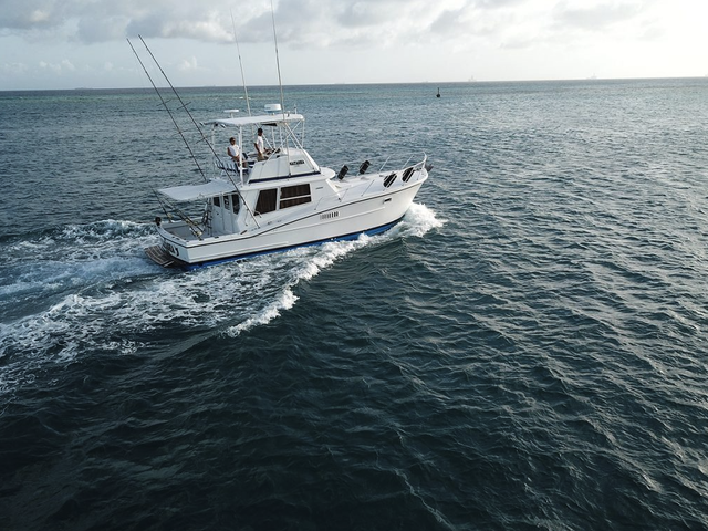 Listing image 1212399