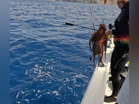 A fisherman proudly displays a freshly caught octopus while out on the ocean, showcasing the thrill of deep-sea fishing adventures.