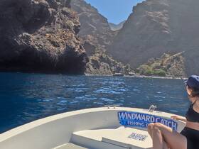 A scenic view from a fishing boat as a guest admires the stunning coastline, showcasing the beauty of the surrounding cliffs and clear waters.