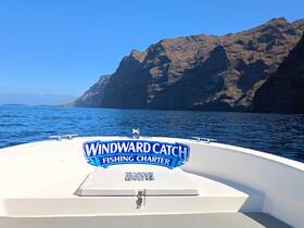 A clear view of the 'Windward Catch Fishing Charter' boat navigating through serene waters, with stunning cliffs in the background — perfect for fishing enthusiasts seeking adventure.
