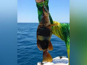 A proud angler displays a freshly caught fish while out on a fishing charter, showcasing the excitement of a successful day on the water.