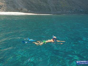 Windward Catch Excursion & Snorkel Charter