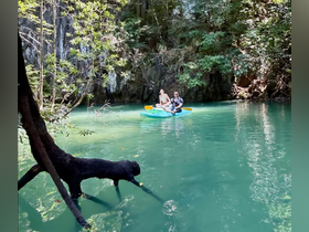 A couple enjoys a serene kayaking experience in crystal-clear waters surrounded by lush tropical scenery, perfect for adventure seekers and nature lovers.