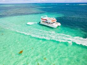 A stunning aerial view of a catamaran named 'Malibu' cruising through crystal-clear turquoise waters, showcasing the beauty of a perfect day on the water.