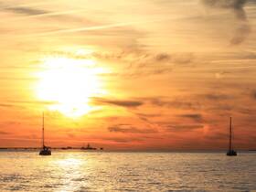 A serene sunset view featuring sailboats silhouetted against a vibrant orange sky, perfect for capturing the beauty of evening on the water.