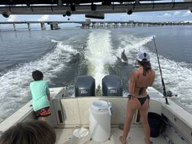 A child and an adult enjoy a thrilling encounter with a dolphin while aboard a boat, showcasing the excitement of wildlife interactions on the water.