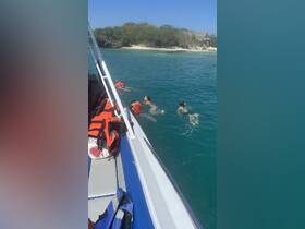 A group of swimmers enjoys a snorkeling adventure in clear waters, showcasing the fun and excitement of a day on the boat.