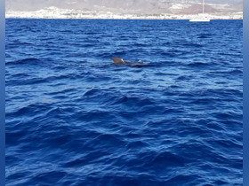 Charter Image
