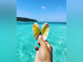 A hand holds a beautifully patterned shell resembling a butterfly against a backdrop of clear turquoise waters, showcasing a unique marine find during a day on the water.