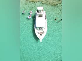A lively group enjoys a day in the clear waters, relaxing on a pontoon boat while others swim nearby — a perfect snapshot of summer fun on the water.