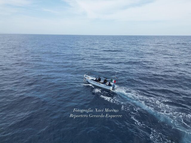 Listing image 1213336