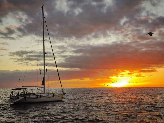 Listing image 1213442