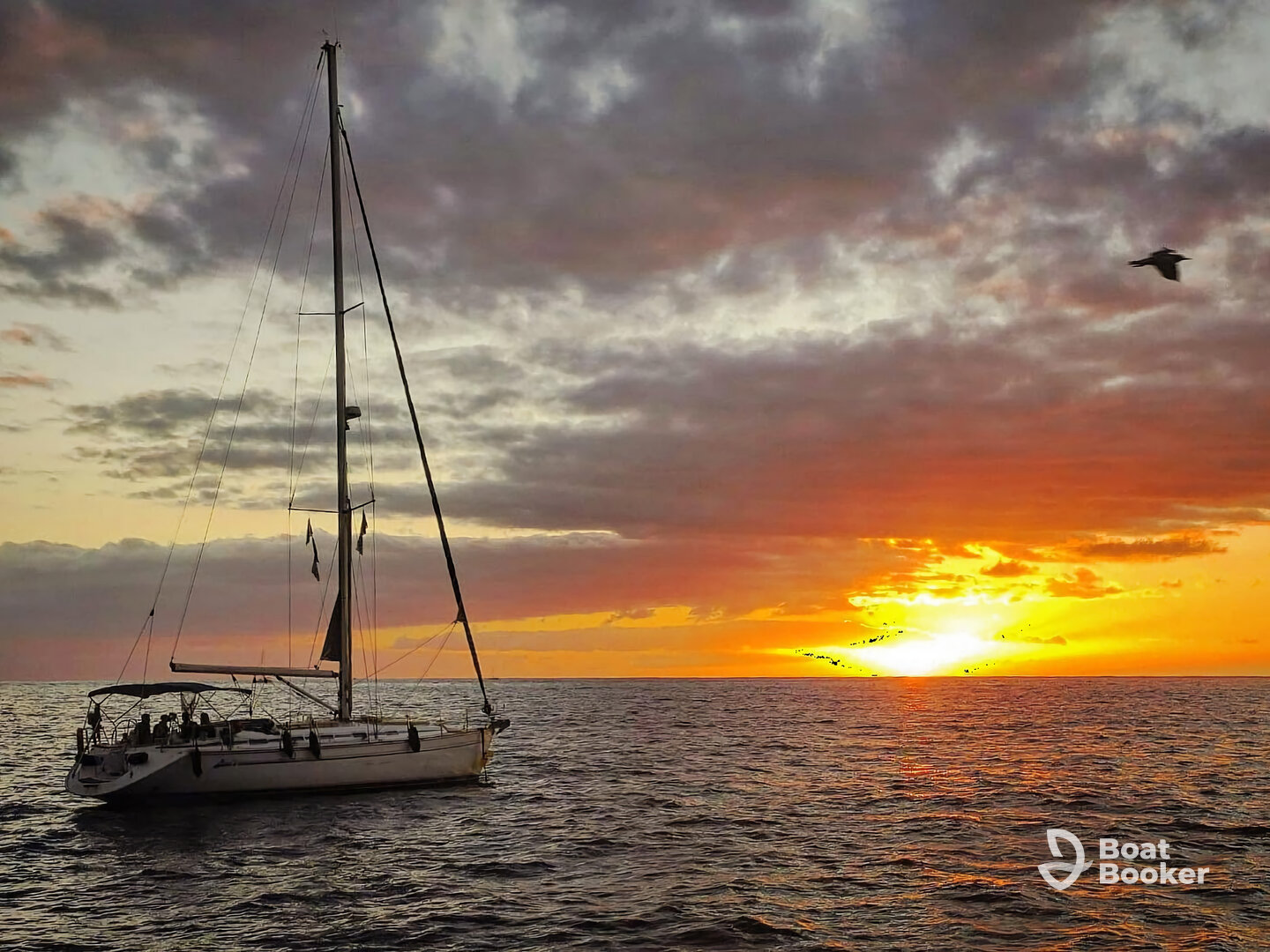 Big Smile Luxury Charters – Whale Watching