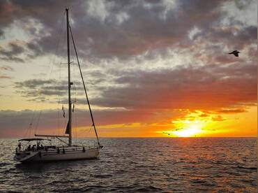 Big Smile Luxury Charters – Whale Watching