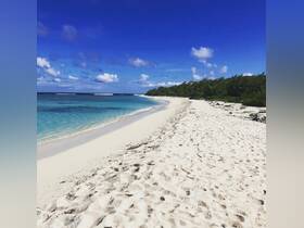 A stunning view of a pristine beach with soft white sand and clear turquoise waters, perfect for relaxation and exploration in a tropical paradise.