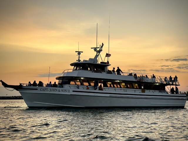 Listing image 1214044