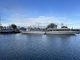 A serene view of several boats docked at the marina, showcasing a variety of vessels against a clear blue sky — perfect for fishing charters or leisurely outings.