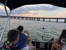 A group of friends captures a moment as a dolphin swims alongside their boat, showcasing a delightful wildlife encounter on the water.