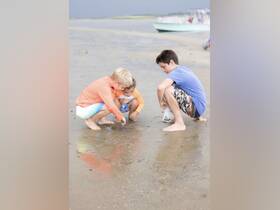 Three children explore the sandy beach, discovering treasures in the sand — a perfect moment of joy and curiosity during a family outing.