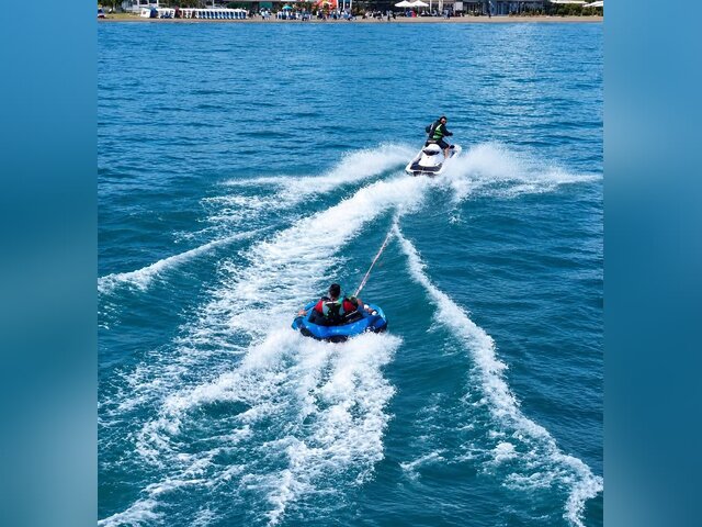 Listing image 1225184