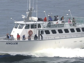 Charter Image