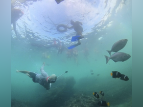 A vibrant underwater scene captures snorkelers exploring a lively marine environment, surrounded by colorful fish — an unforgettable snorkeling adventure.