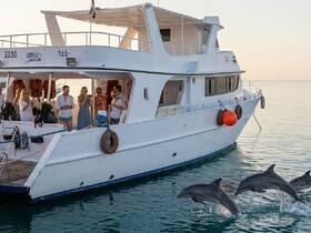 A lively group enjoys a boat trip as dolphins leap joyfully in the water, creating a memorable experience on the open sea.