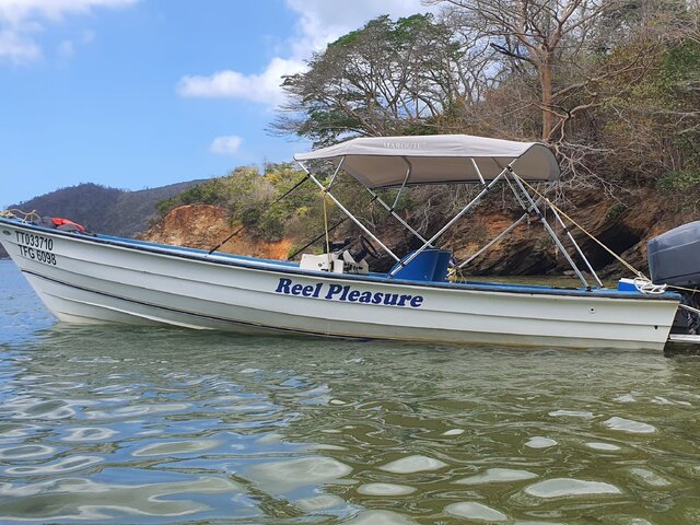 Listing image 1215547