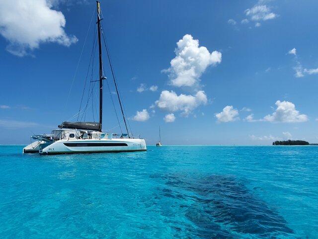 Listing image 1215599