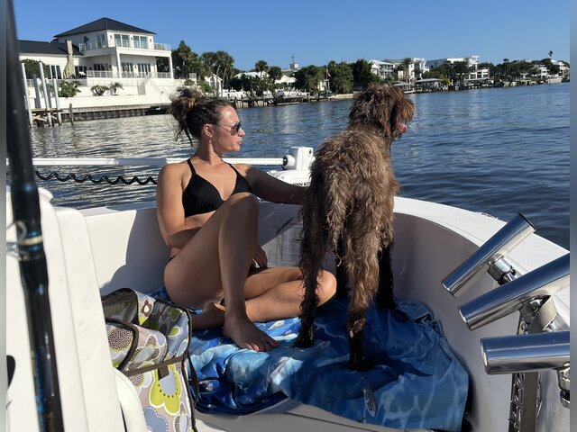 Listing image 1219413