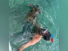A snorkeler interacts with a sea turtle in crystal-clear waters, showcasing a memorable wildlife experience in a tropical setting.