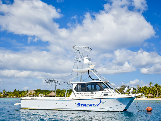 Listing image 1216027