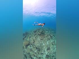 A snorkeler explores vibrant underwater scenery, gliding over rocky formations in crystal-clear waters — a perfect snapshot of aquatic adventure.