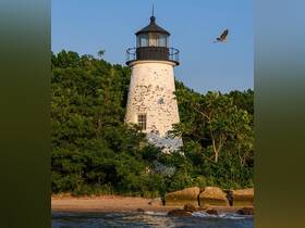 A scenic view of a lighthouse surrounded by greenery, capturing the essence of coastal landscapes.