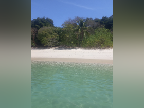 A serene view of a secluded beach with lush greenery and clear turquoise waters, perfect for relaxation and exploration during a boat trip.