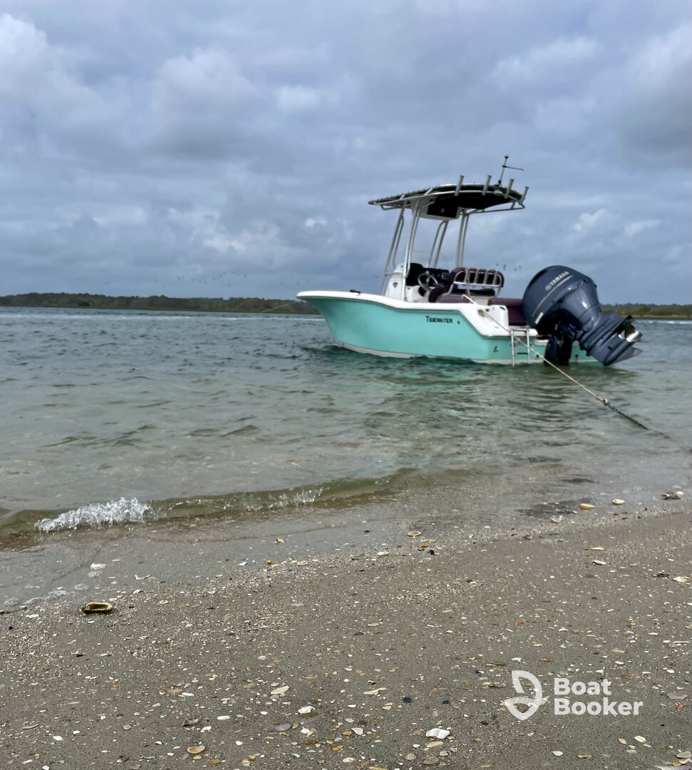 Rogue Current Charters