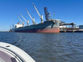 A striking view of the cargo ship 'Bellina Colossus' docked at the port, showcasing its impressive structure against a clear blue sky.